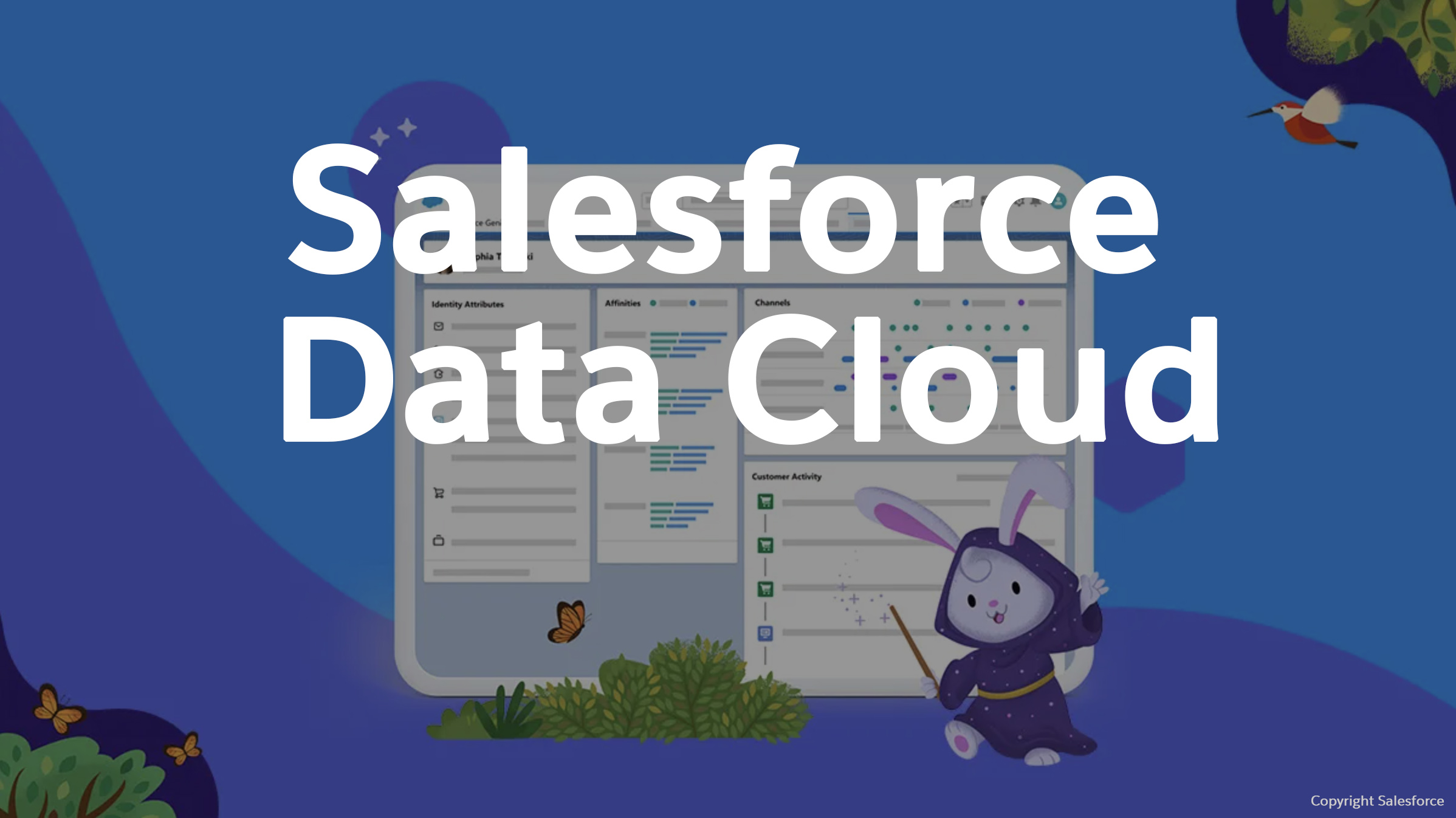 Salesforce Data Cloud